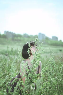 黑帮大佬和我的365天